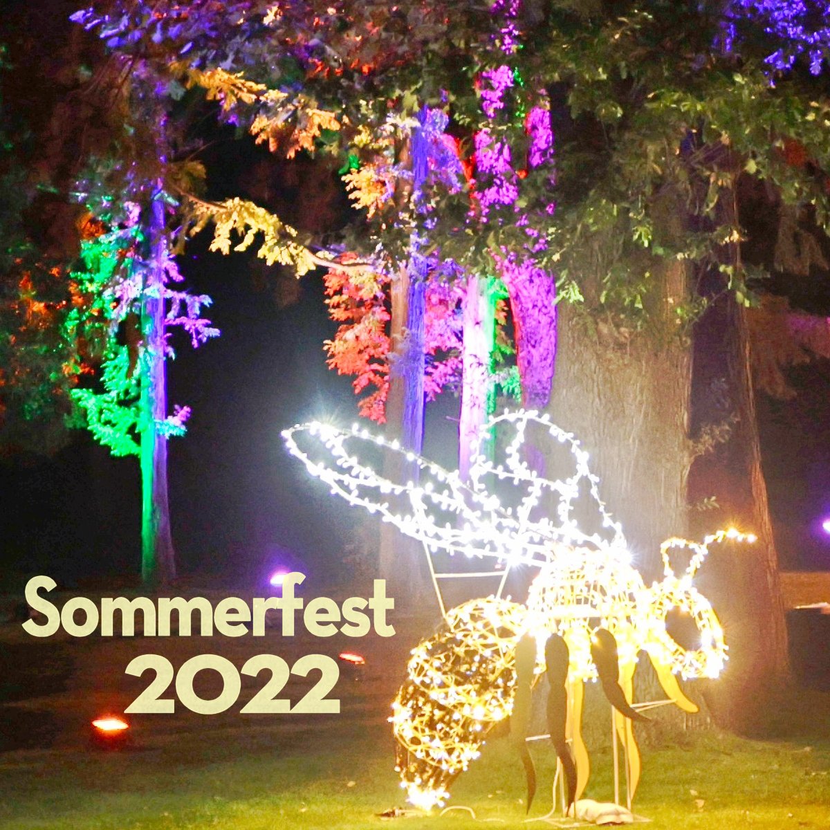 Wannsee-Sommerfest 2022